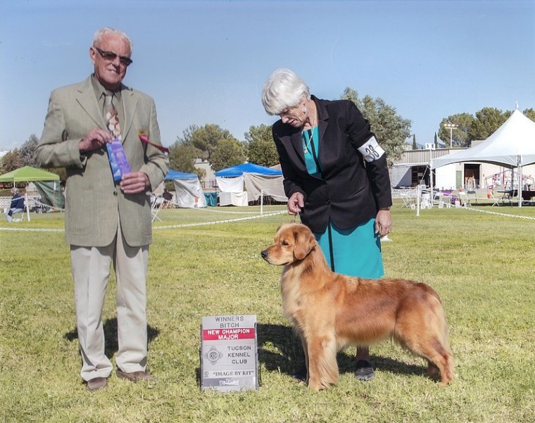 31d417_1360fbb685824b30b684abc5be28f4aa