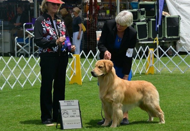 CopperCreek Last Man Standing IMG_1654