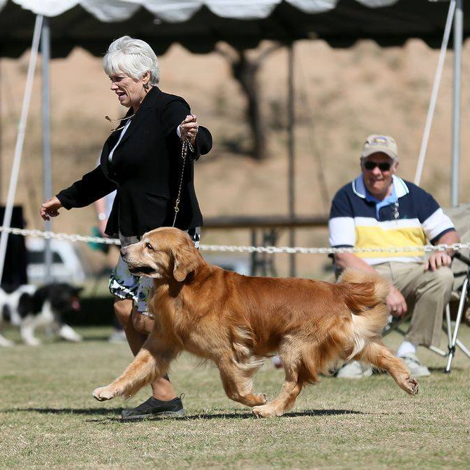 GCH PREMIERE'S ROCK YOUR WORLD
