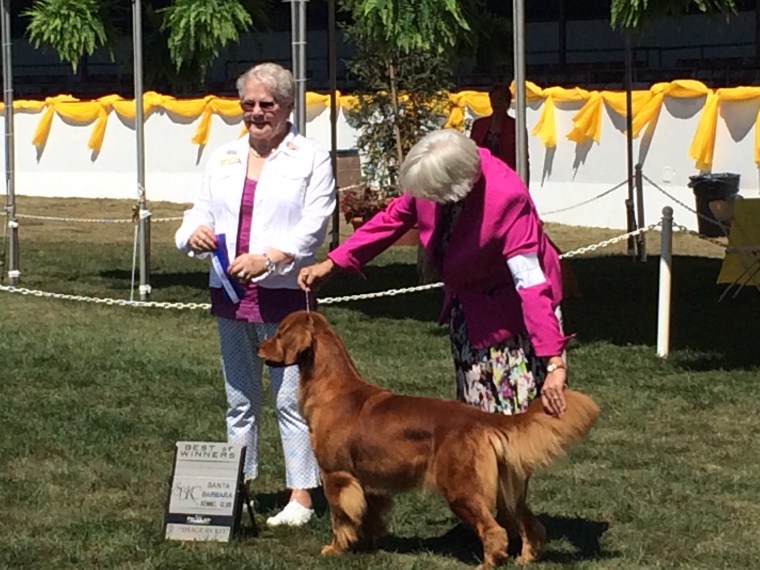 Copper Creek Rock-In My Heart Away CGC